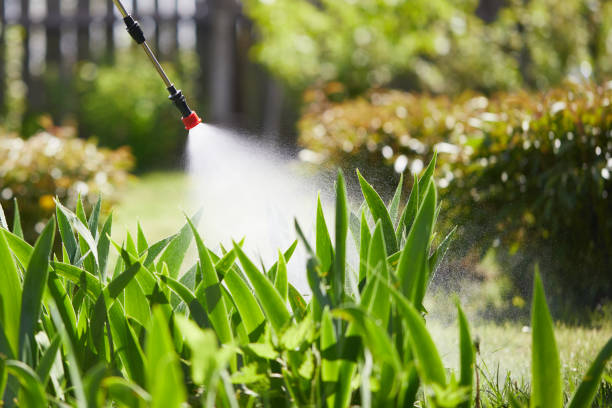 24/7 Emergency Mosquito Control experts in Orange Park, FL
