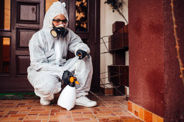 Reliable Mosquito Control contractor in Orange Park, FL by Show Me Pest Control